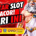 Panduan Slot Online: Memahami RTP dan Volatilitas